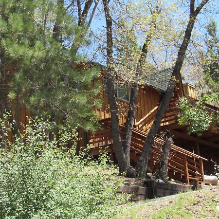 Hillside Hideaway -View Of Ski Slope From Charming Deck بيغ بير لاكي، سان بيرناردينو، كاليفورنيا المظهر الخارجي الصورة