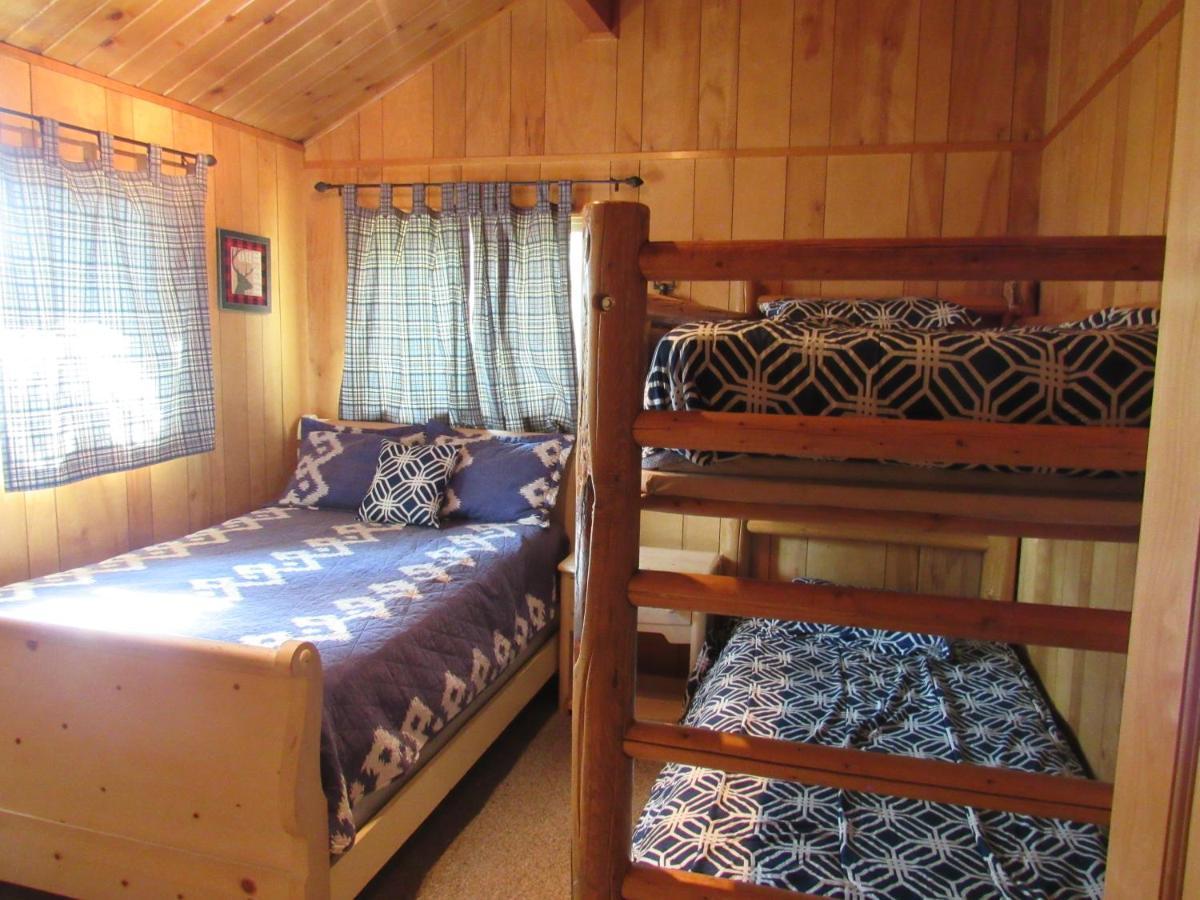Hillside Hideaway -View Of Ski Slope From Charming Deck بيغ بير لاكي، سان بيرناردينو، كاليفورنيا المظهر الخارجي الصورة
