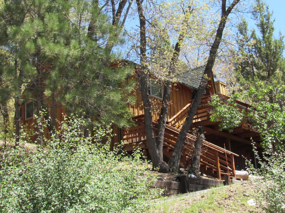 Hillside Hideaway -View Of Ski Slope From Charming Deck بيغ بير لاكي، سان بيرناردينو، كاليفورنيا المظهر الخارجي الصورة