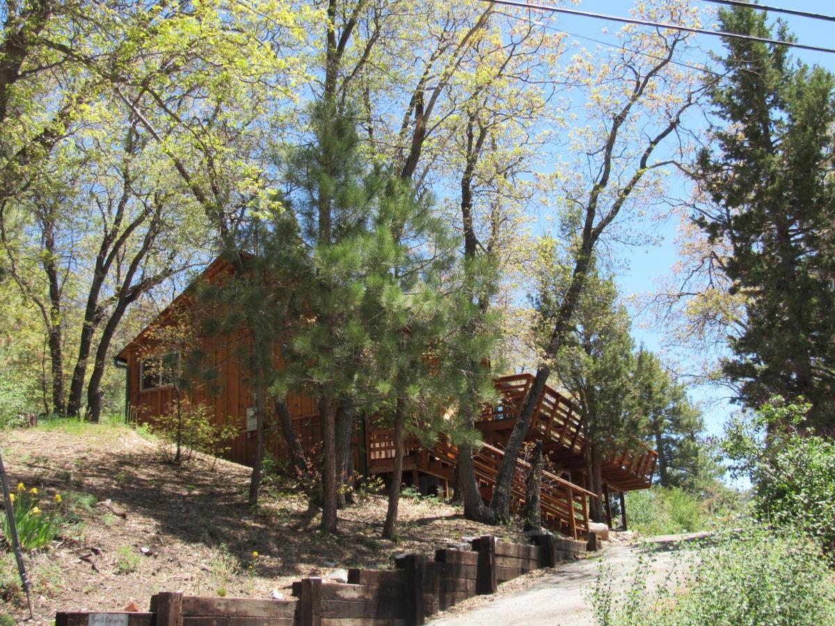 Hillside Hideaway -View Of Ski Slope From Charming Deck بيغ بير لاكي، سان بيرناردينو، كاليفورنيا المظهر الخارجي الصورة
